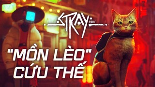 "Mèo Méo Meo" - Stray I PHÊ Game “PHÁN”