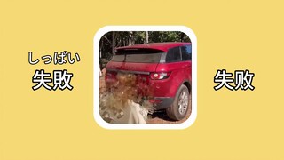 【Japanese word】失敗（しっぱい）: failure