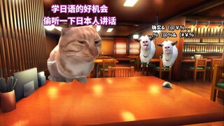 What is it like to come to Japan for the first time after getting N1 in Japanese (Part 2) | Cat meme