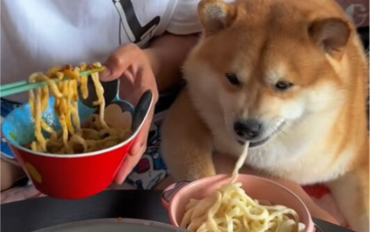 I ate noodles today and vomited them faster than me