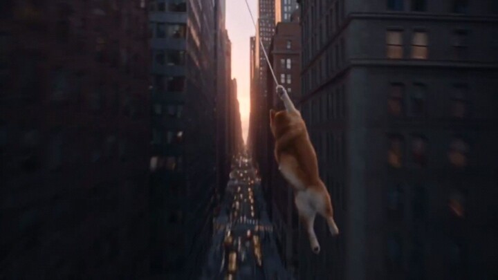 SPIDER-SHIBA Brand New Day #Spiderman