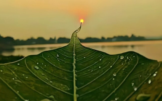 “Jalan Menuju Matahari”