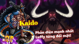 [Hồ sơ nhân vật]. “Thầy giáo” Kaido - Phản diện mạnh nhất Luffy từng đối mặt!