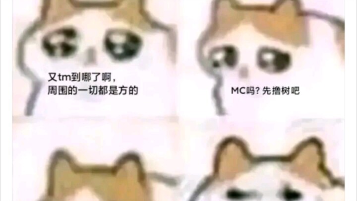 Where has Cat Cat time-traveled to?!