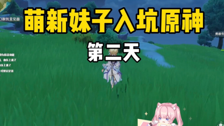 [Genshin Impact] A newbie girl jumps into Genshin Impact and, by day two, is unbelievably stubborn a