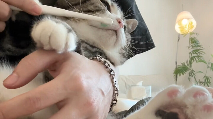 ما أكثر المشاهدين في هذه الحياة؟