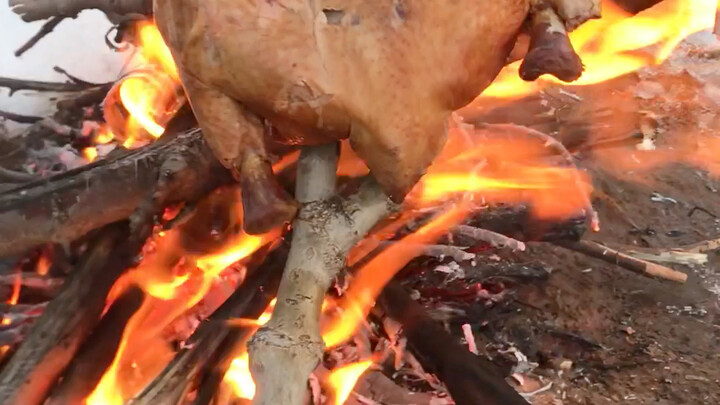 Reheat the roast chicken for the sheep.