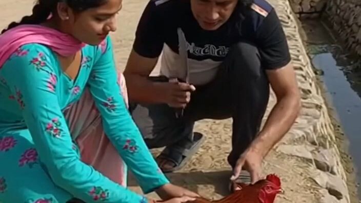 entertainment video