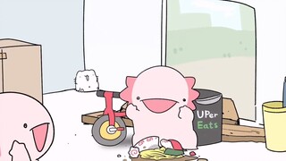 每天一遍，理智再见