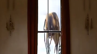 Can you tell me the name of this movie_(720p) #BilibiliCreatorsCamp