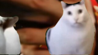 When the old bee talked about Lacules' plan, be like