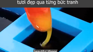 tươi đẹp qua từng bức tranh p4 #beautifullifeeee