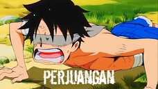 perjuangan luffy untuk menjadi kuat | AMV