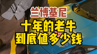 Is this thing actually a calf or an old cow... Hahaha