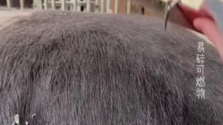 0324 Cards - It Was Really Tough to Seize Power in Ancient Times 1 Just Give Up, Bro?