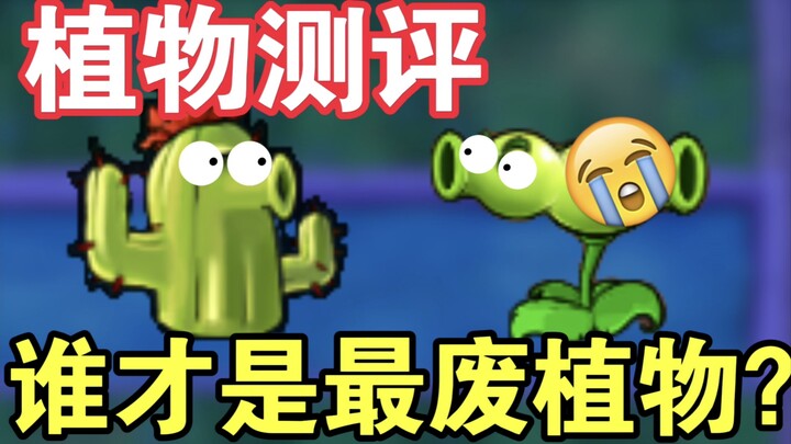 PVZ Plant Review: Why Is Splitpod Pea Shooter Stronger Than Cactus?