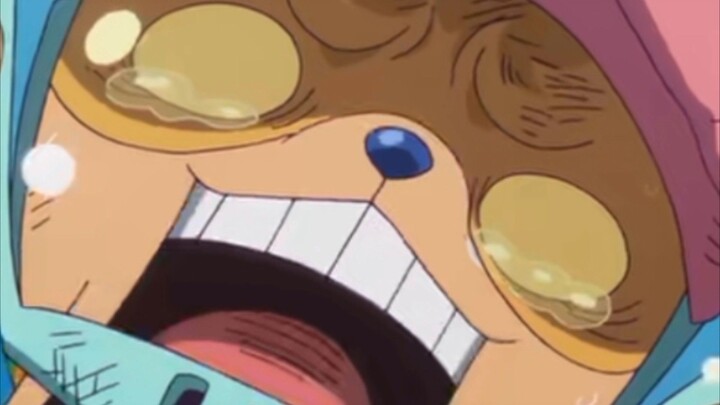 Chopper Ussop Sampe Trauma Sama Buster Call #loki #luffy #xebec #rogers #onepiece