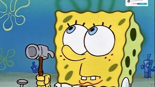 [Squidward & SpongeBob SquarePants] "Complete" reform is blowing everywhere?