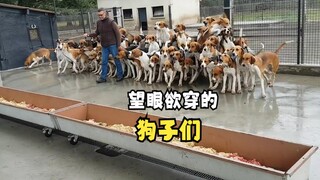 Đến giờ ăn của các loài động vật rồi!
