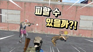 이모트로 날아오는 총알을 피할 수 있을까?! 과연? [모바일 배틀그라운드]