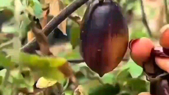 আমরা সেই সময় বড় হয়েছি