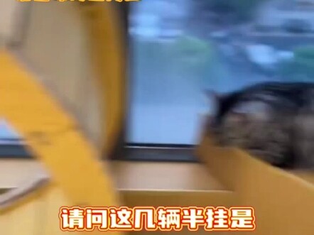 โปรดให้ฟ้าพิสูจน์ความซื่อสัตย์และเจตนาร้าย