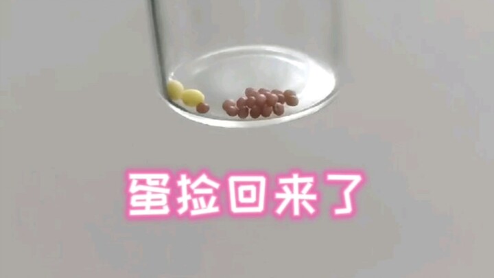 Hôm qua phát hiện quả trứng màu hồng, tôi đã nhặt về rồi