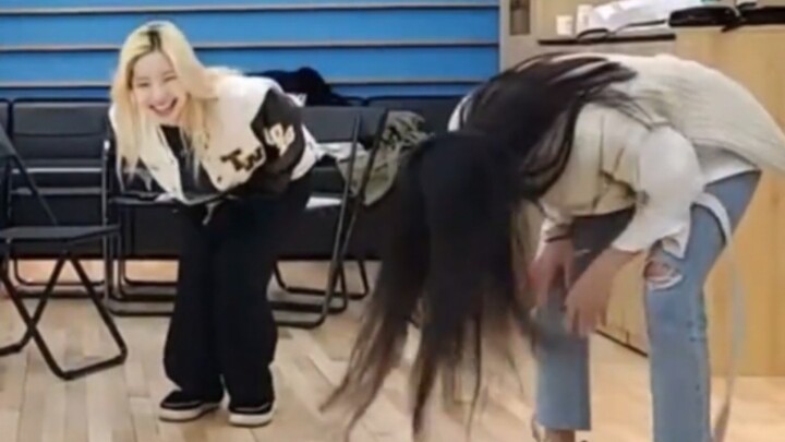 [TWICE] Shocking—A penguin and a piece of tofu are actually making fun of a Shiba Inu!!!