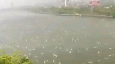 Huge hailstorm in Shicheng, Ganzhou, Jiangxi Province