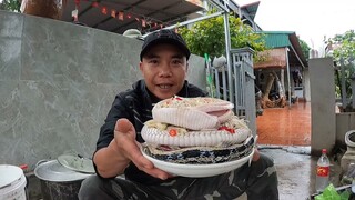 Món Ngon Độc Lạ. Rắn Hấp Nguyên Con Cùng Team Săn Bắt Ẩm Thực Vùng Cao