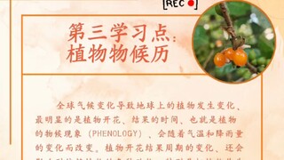 第三学习点 จุดศึกษาที่3