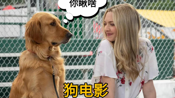 เมื่อเจ้าของมีแฟนแล้ว น้องหมาในใจจะคิดอะไรนะ?