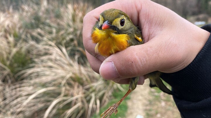 ขอโทษที ทำให้คุณตกใจ รีบกลับบ้านไปเถอะ!