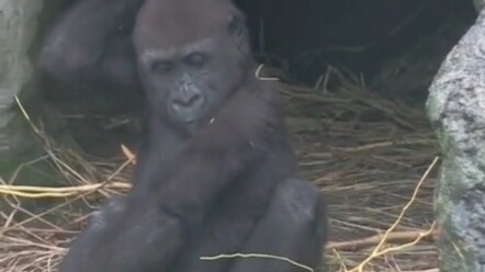 هل تعتقد أحيانًا أنك وسيم جدًا؟