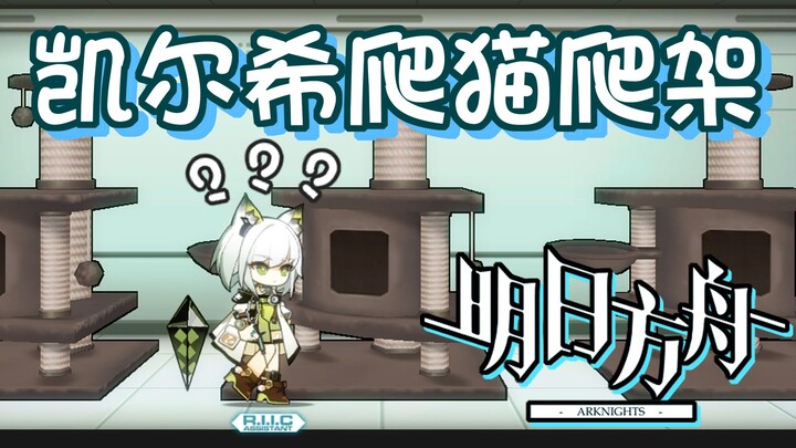 【明日方舟】凯尔希，给大伙表演个爬猫爬架！
