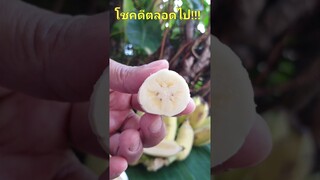 คลิปดูเพลินEp1,425 "เบาสมอง สาระไม่มากเด้อ" yummy@palida77@palida7783