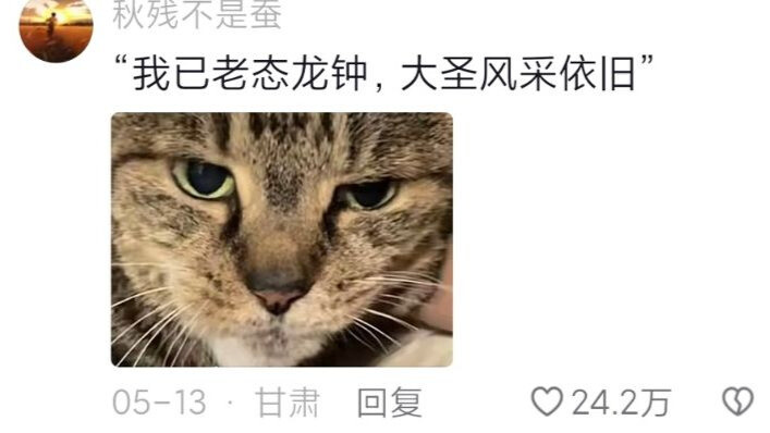 当我用摸2岁猫的手法摸20岁的猫时：