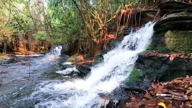 Belezas naturais de Apuí, #amazonas