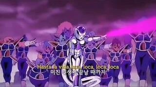 LoCa-LoCa