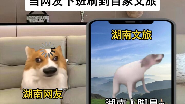 《当网友下班刷到自家文旅》