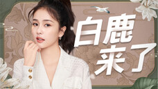 【白鹿】B站的小伙伴们,我来和你们玩啦~