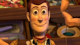 Proses penyembuhan Woody