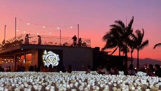 10k roses