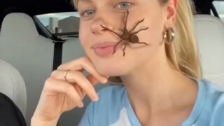 spider filter prank