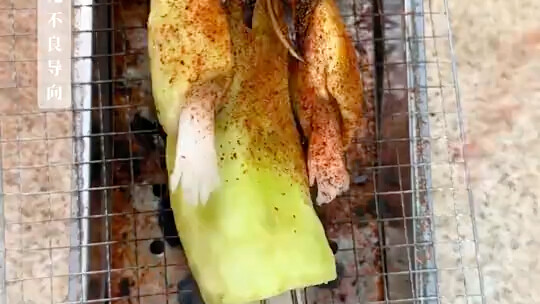 Down-to-Earth Small BBQ