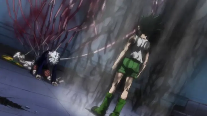 hunter x hunter ep.131 (gon and pitou fight)