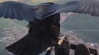 Being caught by an eagle and flying in the sky