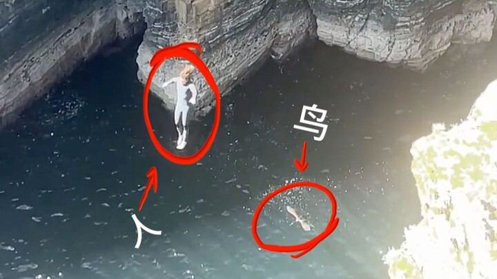 Something with an almost zero probability just happened to a bird!