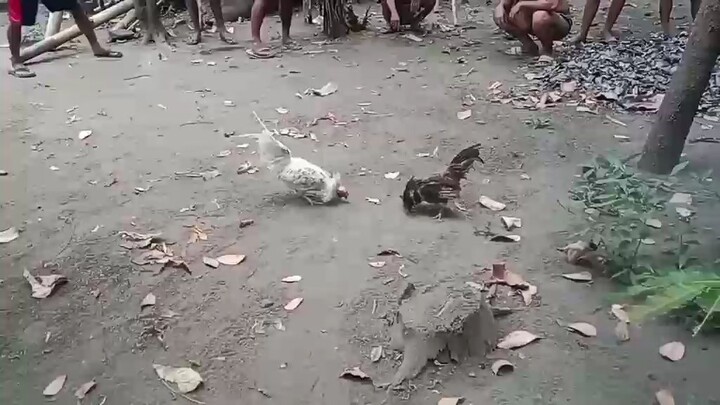 Win si brasback kalaki kalaban