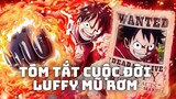 One Piece - Tóm Tắt Cuộc Đời Monkey D.Luffy